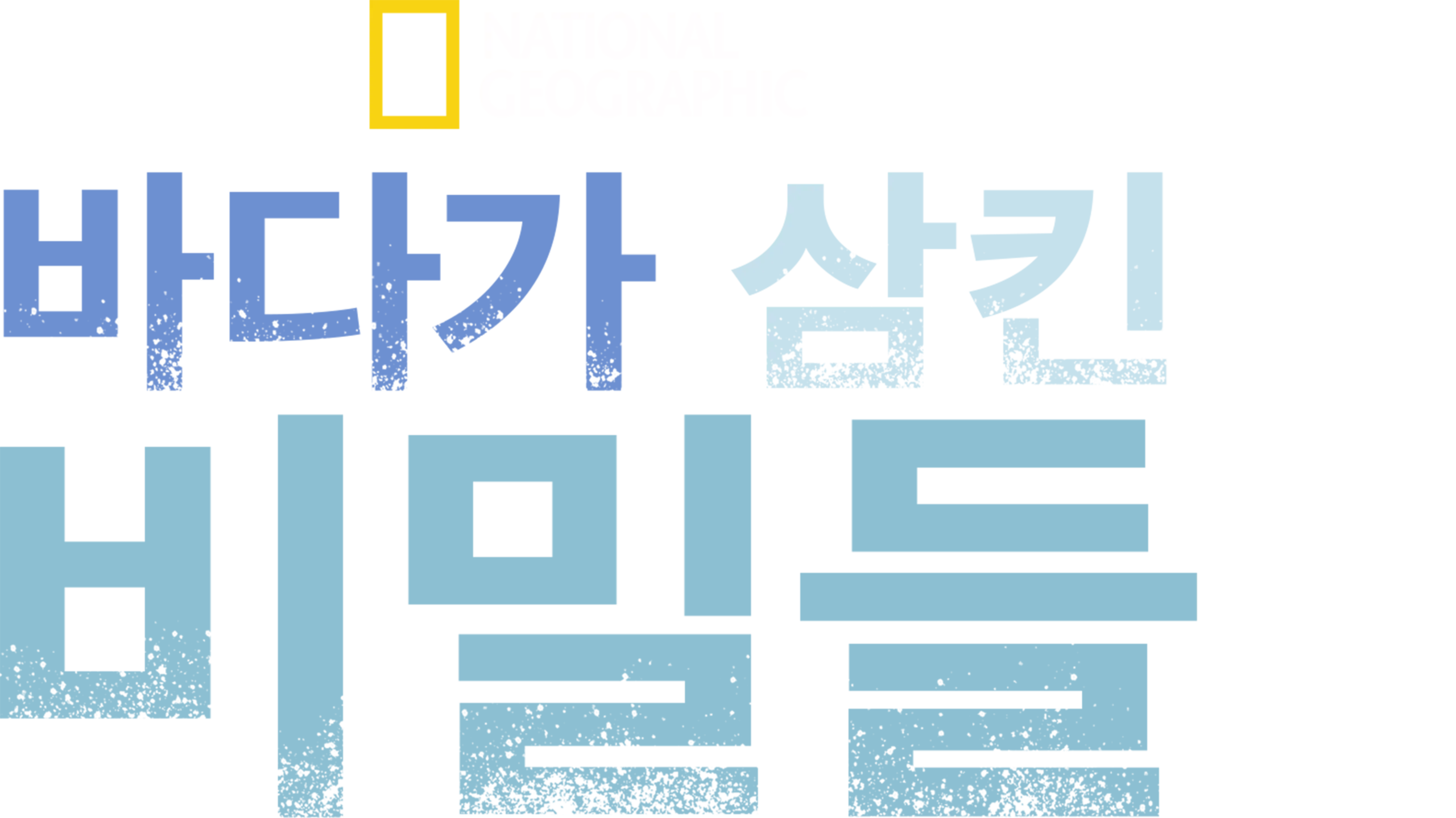 바다가 삼킨 비밀들