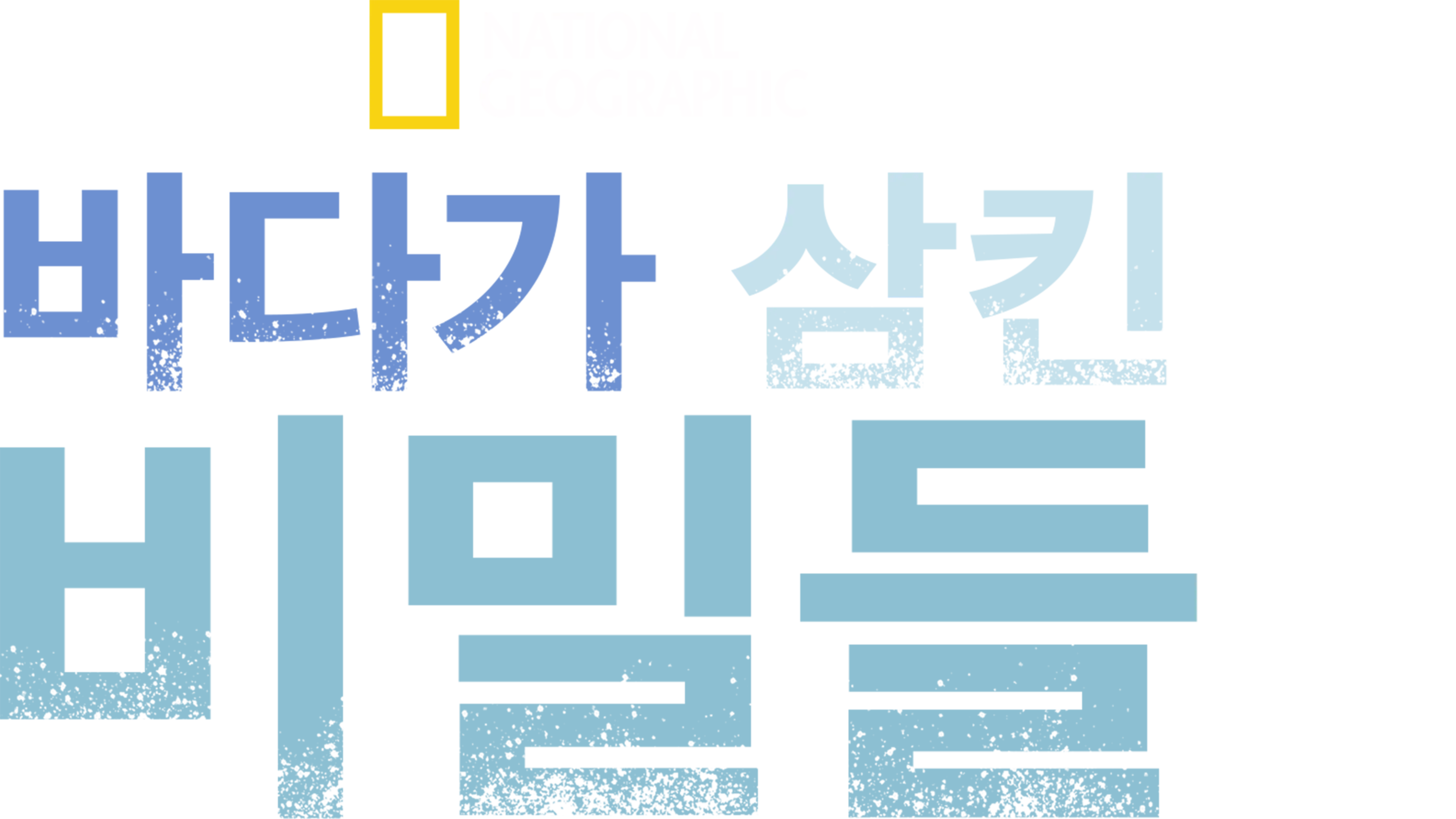바다가 삼킨 비밀들