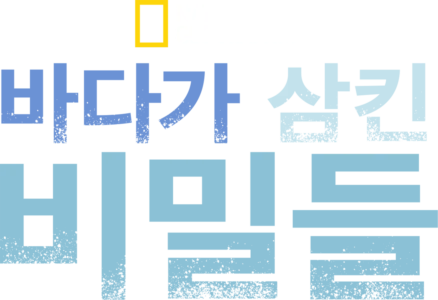 바다가 삼킨 비밀들