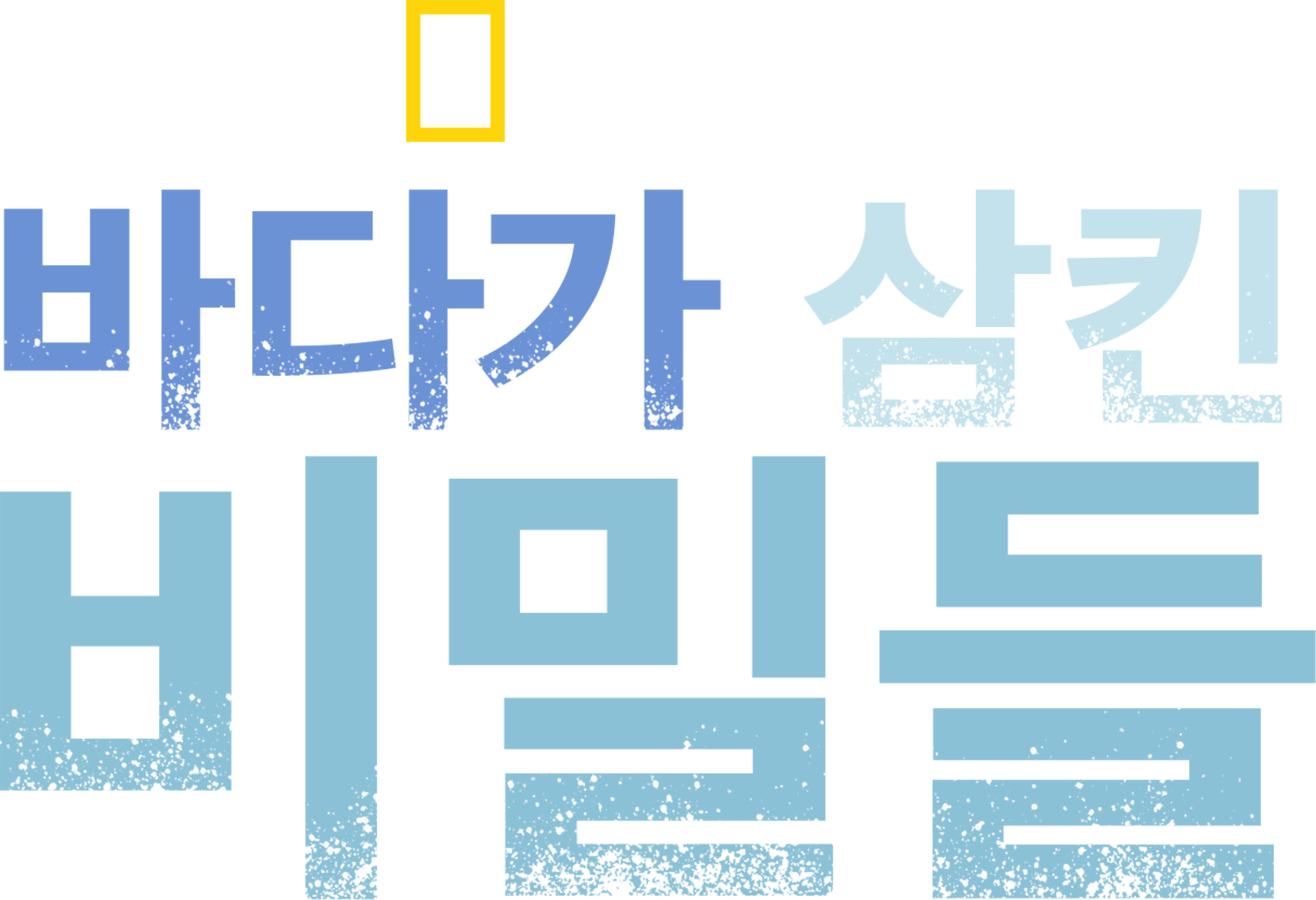바다가 삼킨 비밀들