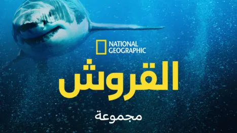 thumbnail - ناشونال جيوغرافيك: القروش