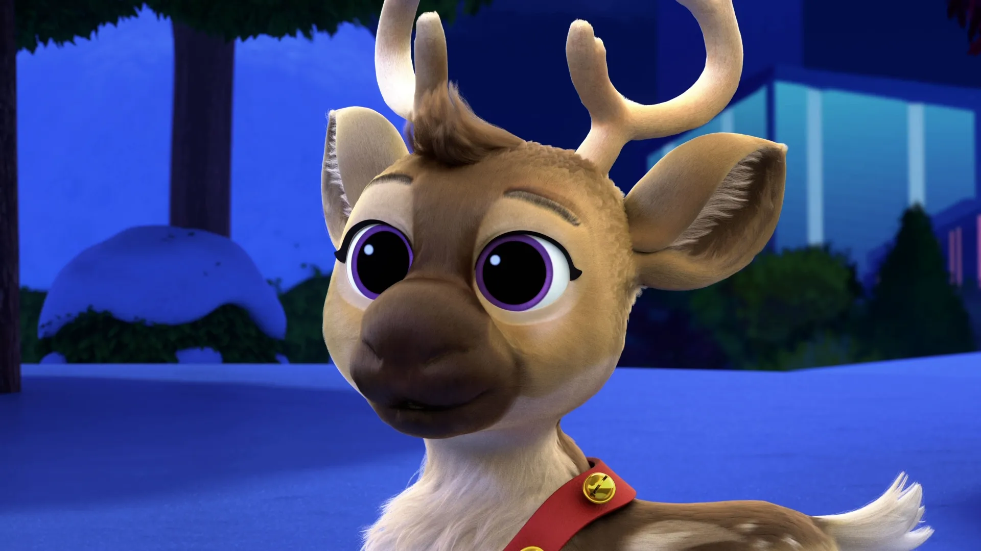A closeup of Comet, one of Santa's reindeer