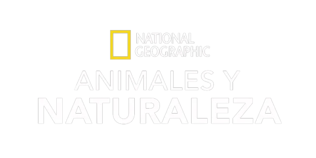 Animales y naturaleza en National Geographic