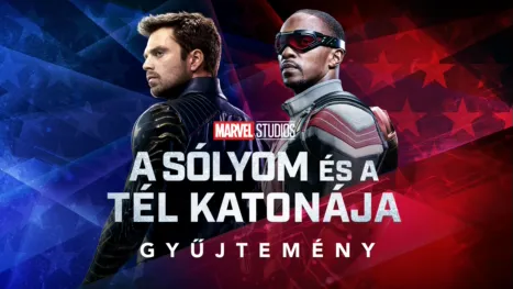 thumbnail - A Sólyom és a Tél Katonája