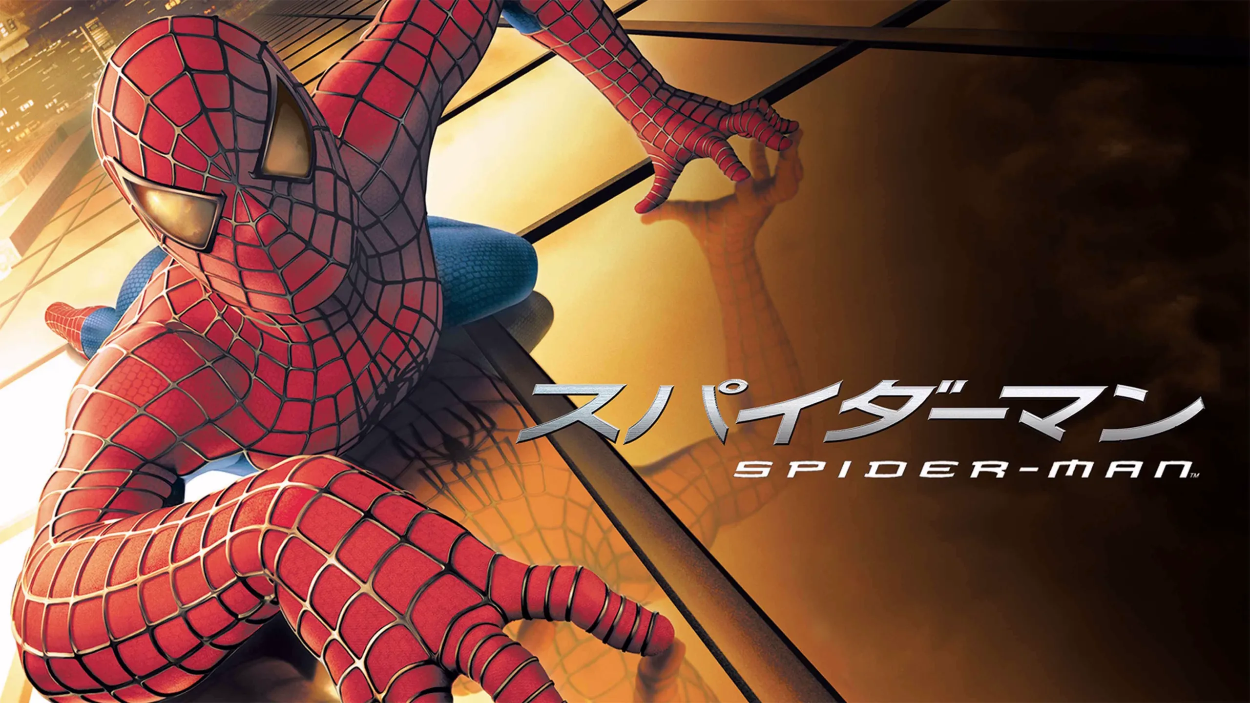 この画像は、サム・ライミ監督、トビー・マグワイア（ピーター・パーカー役）主演の2002年のスーパーヒーロー映画『スパイダーマン』のプロモーションポスターです。 