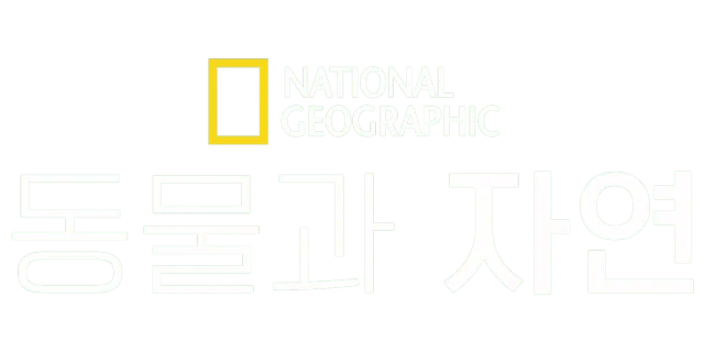 내셔널지오그래픽 동물과 자연