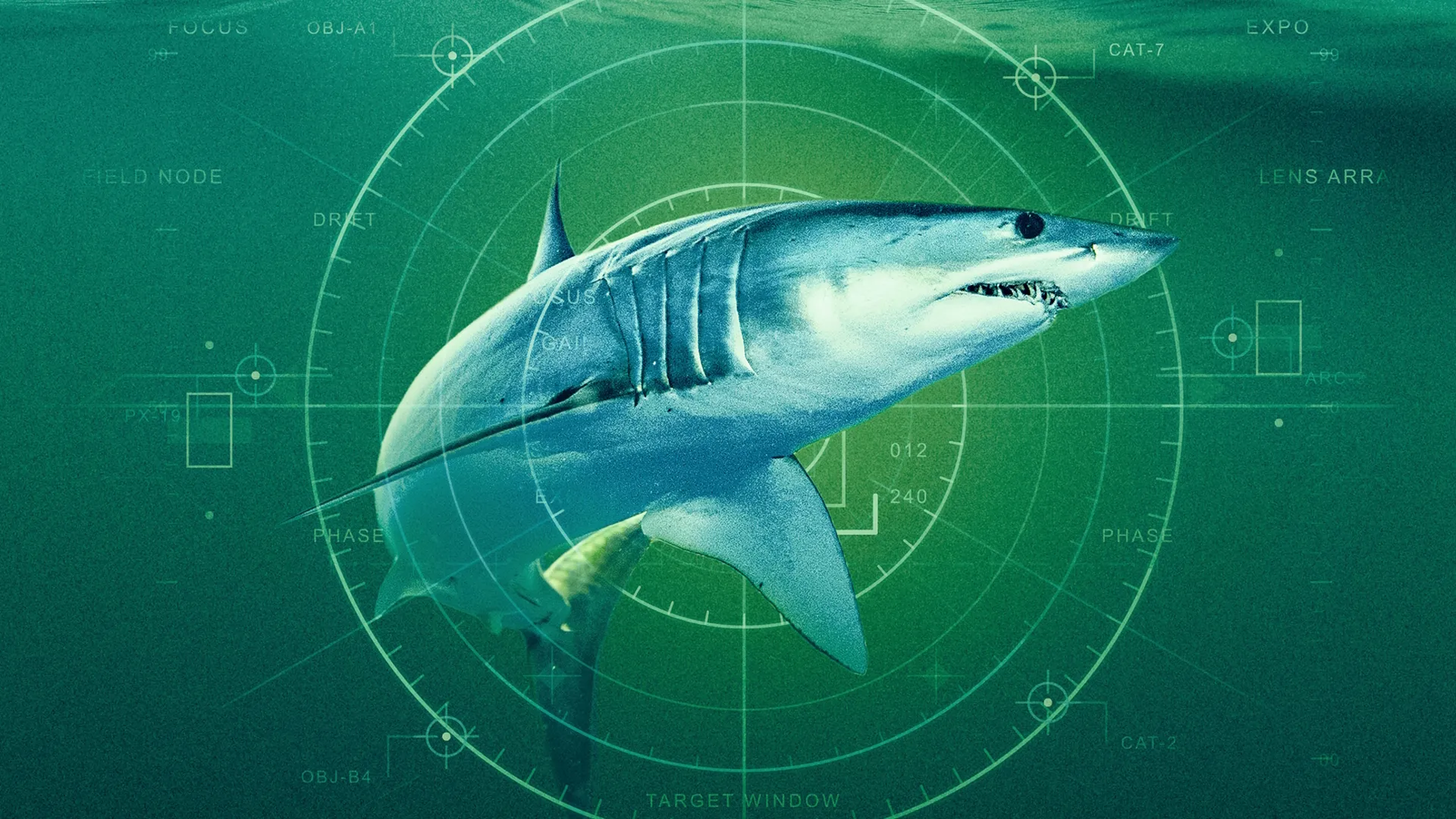 SharkFest 2026: New Nat Geo Shark Documentaries | Explore Disney+