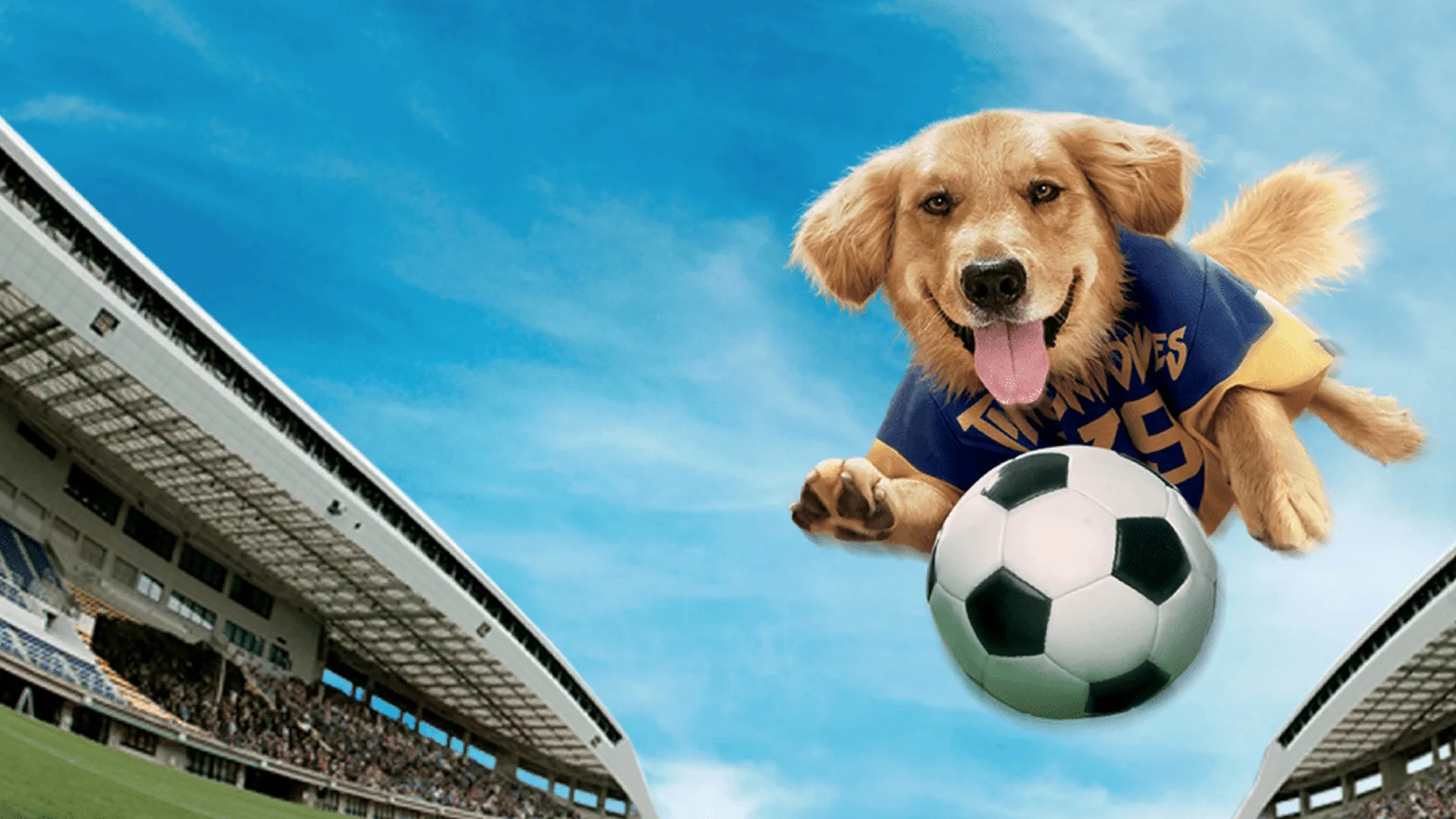 Members of the 1999 United States Women's National Soccer Team smile and cheer on the field while gathered around a teammate who is cradling a golden retriever wearing a blue jersey.
