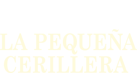La pequeña cerillera