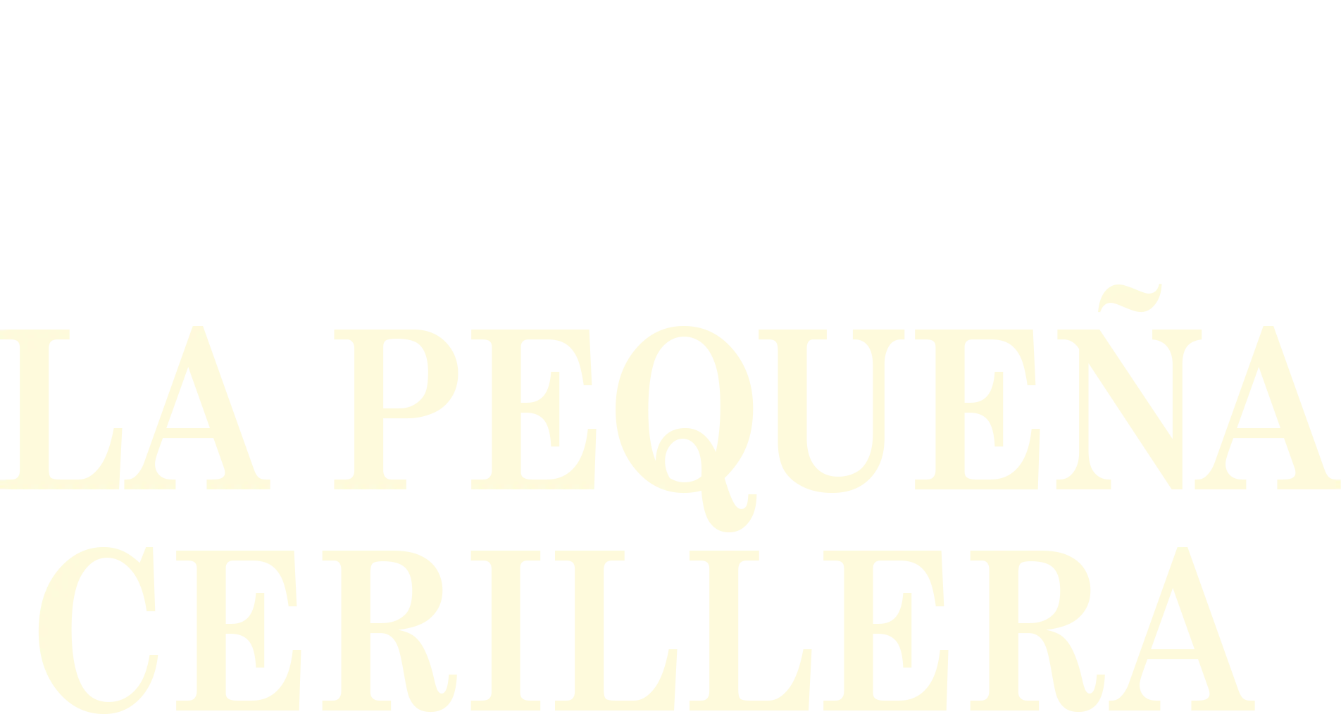 La pequeña cerillera