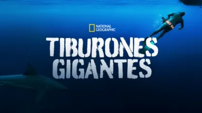 Tiburones gigantes