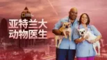 thumbnail - 亚特兰大动物医生