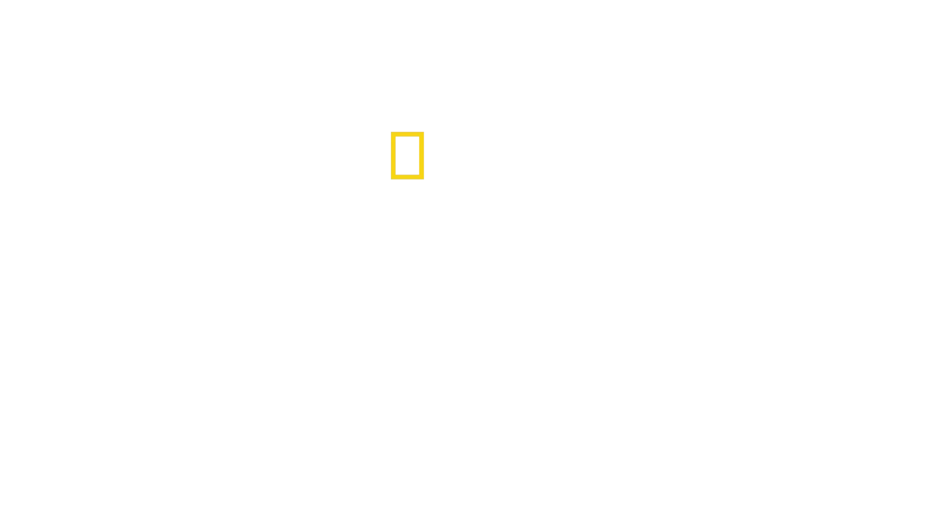 Los Tiburones de la Isla Perdida