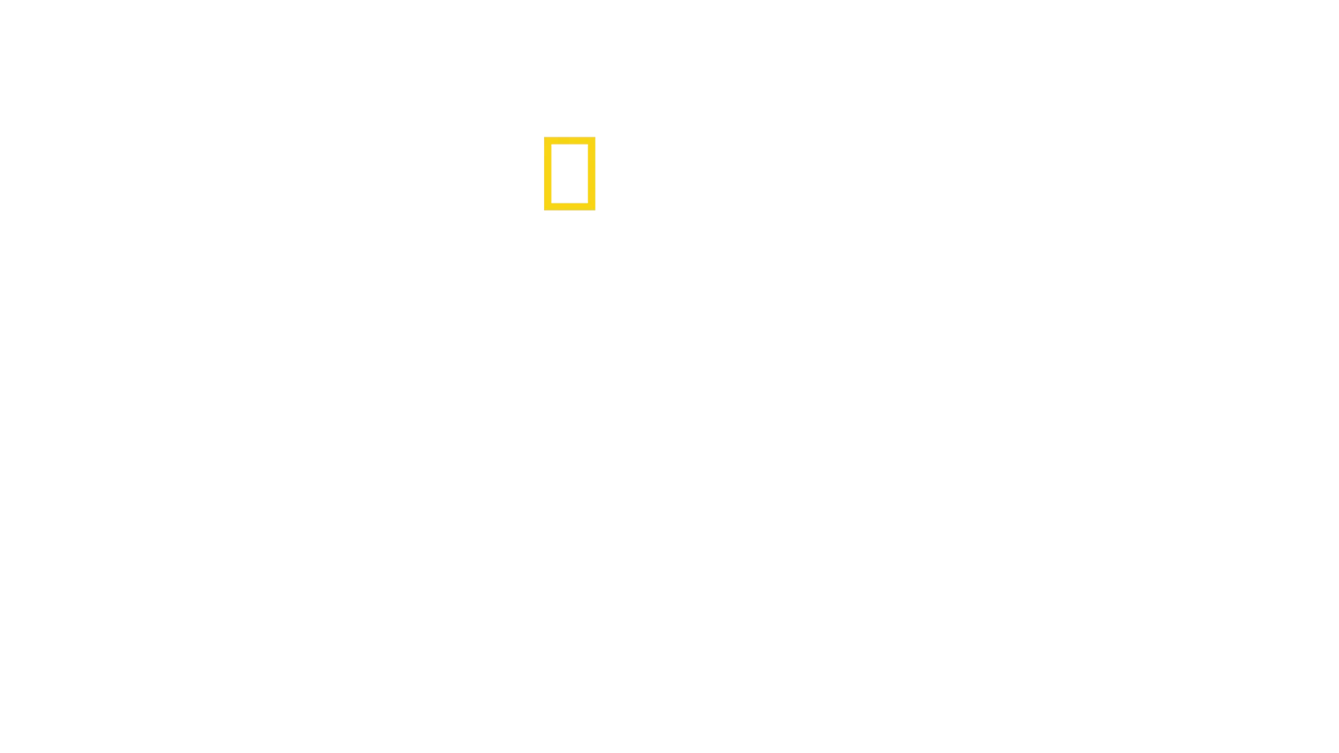 The Hidden Holocaust