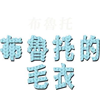布魯托的毛衣