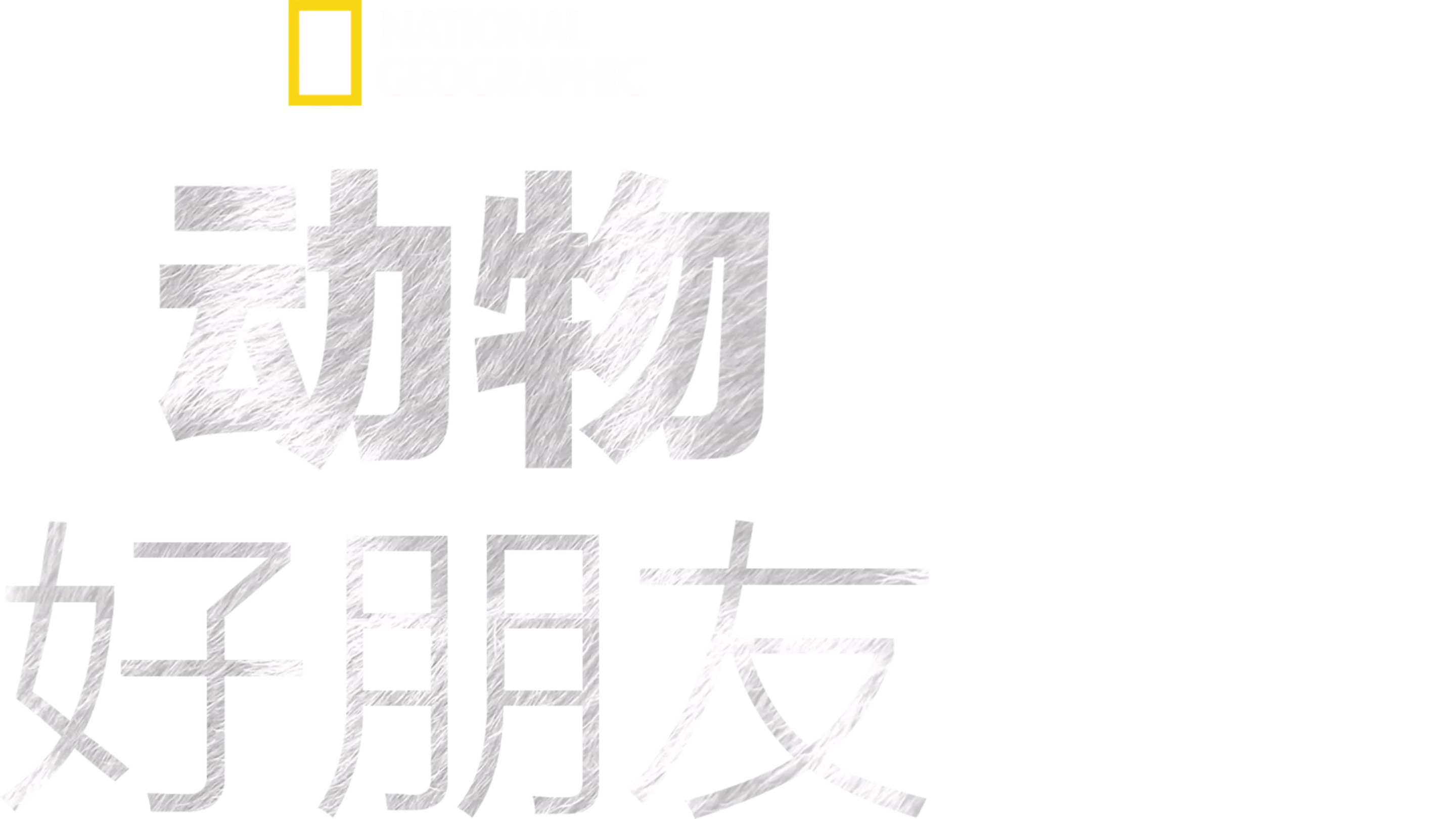 动物好朋友