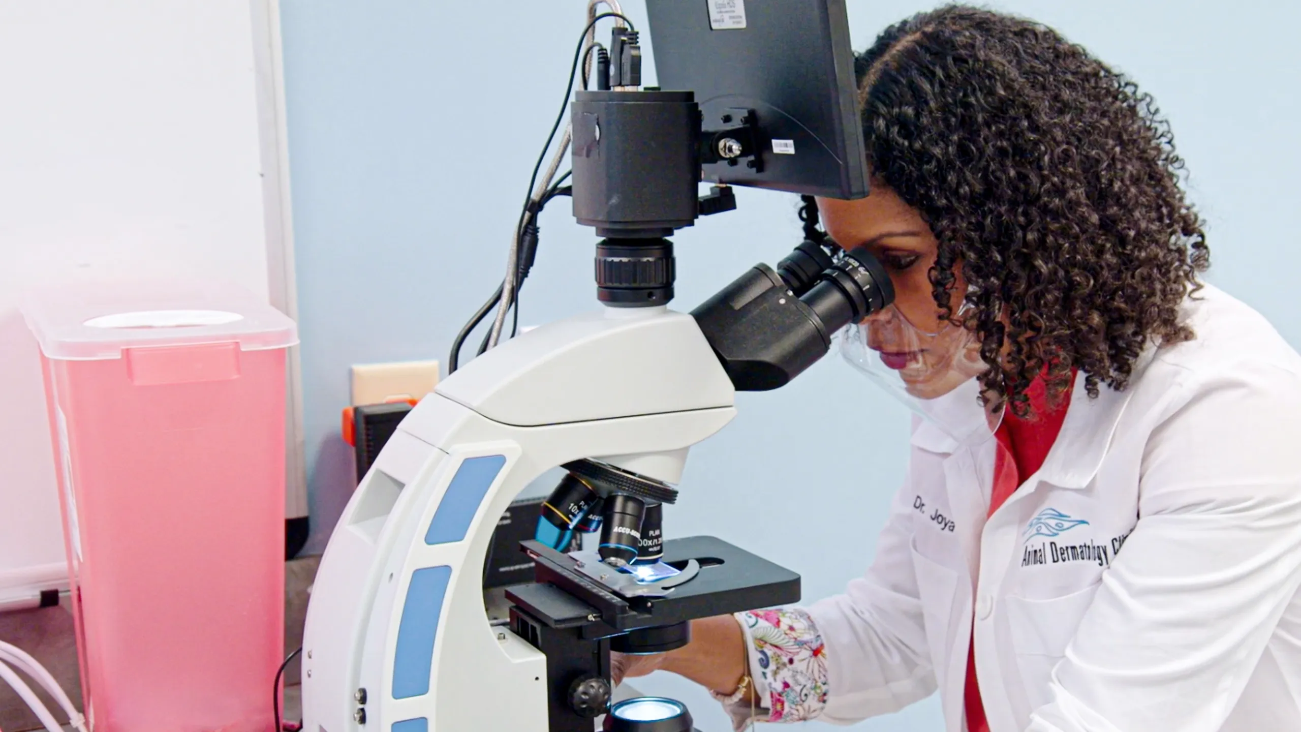 Dermatología veterinaria con la Dra. Joya