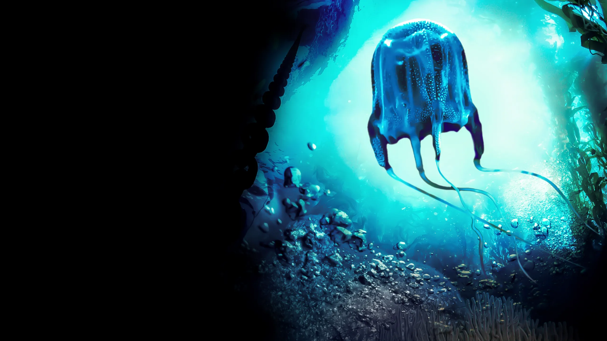 MonsterQuest: Deadly Jellyfish