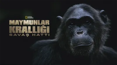 Maymunlar Krallığı: Savaş Hattı