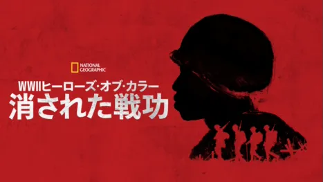 thumbnail - WWⅡヒーローズ・オブ・カラー：消された戦功