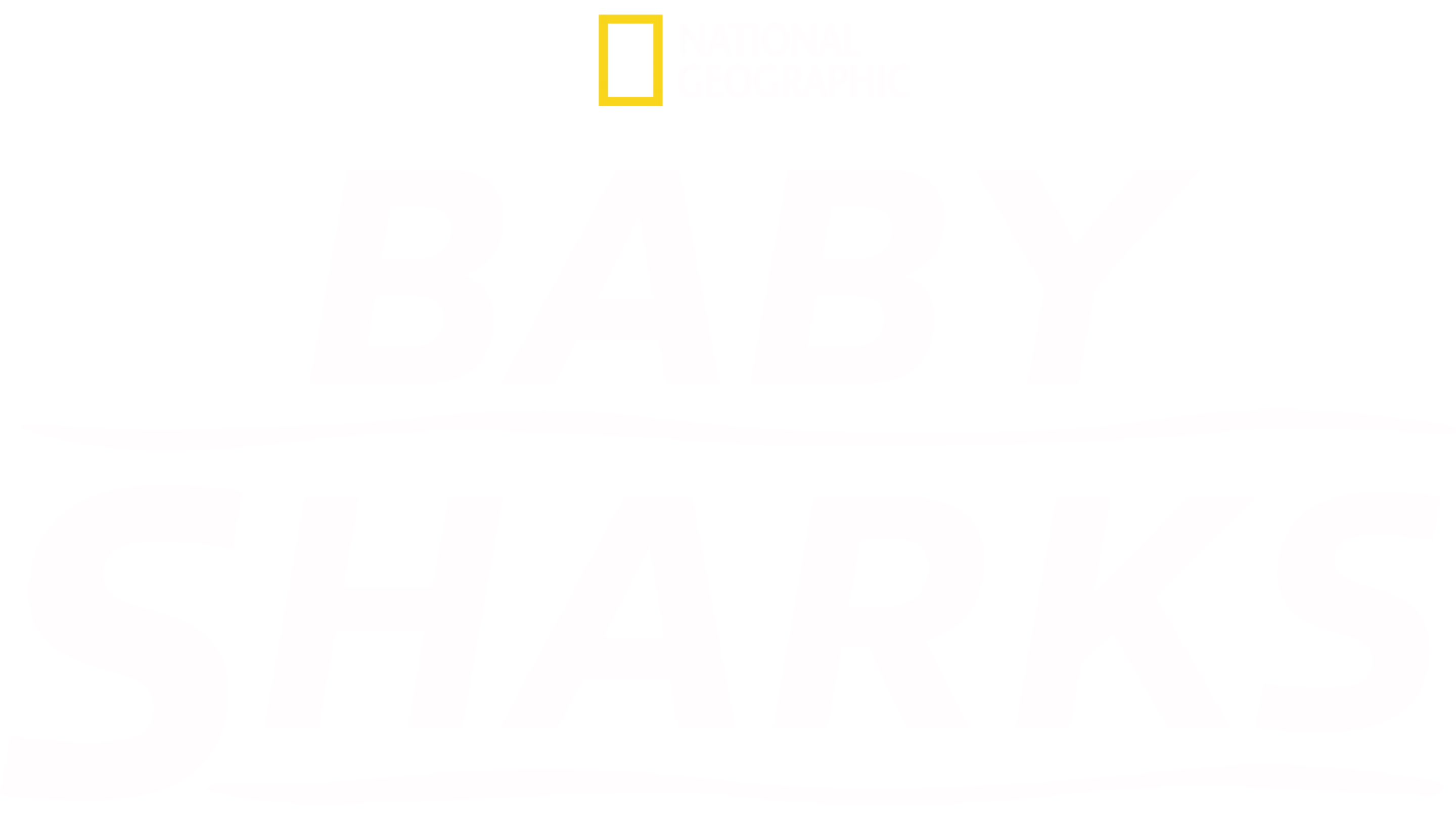 Baby Sharks