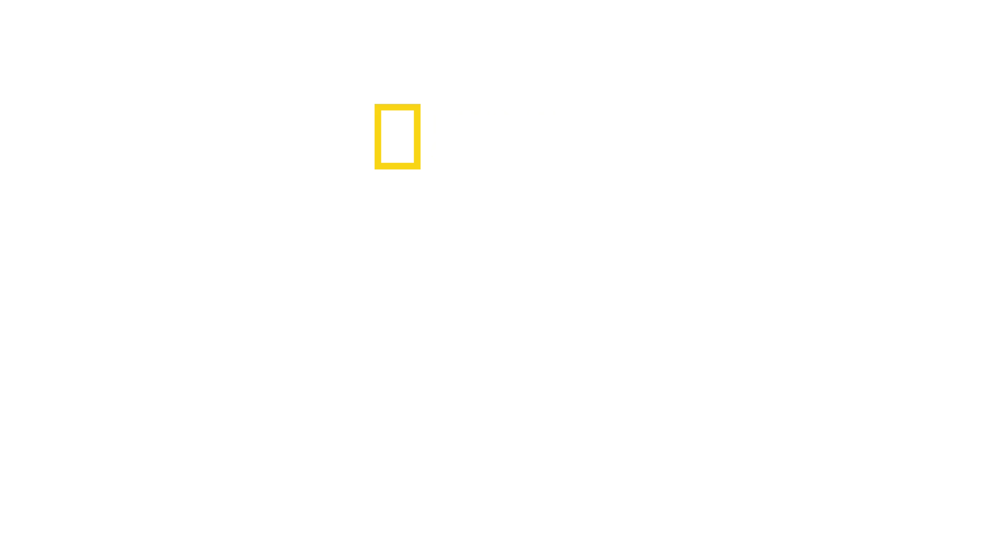 Hitlers liv som junkie