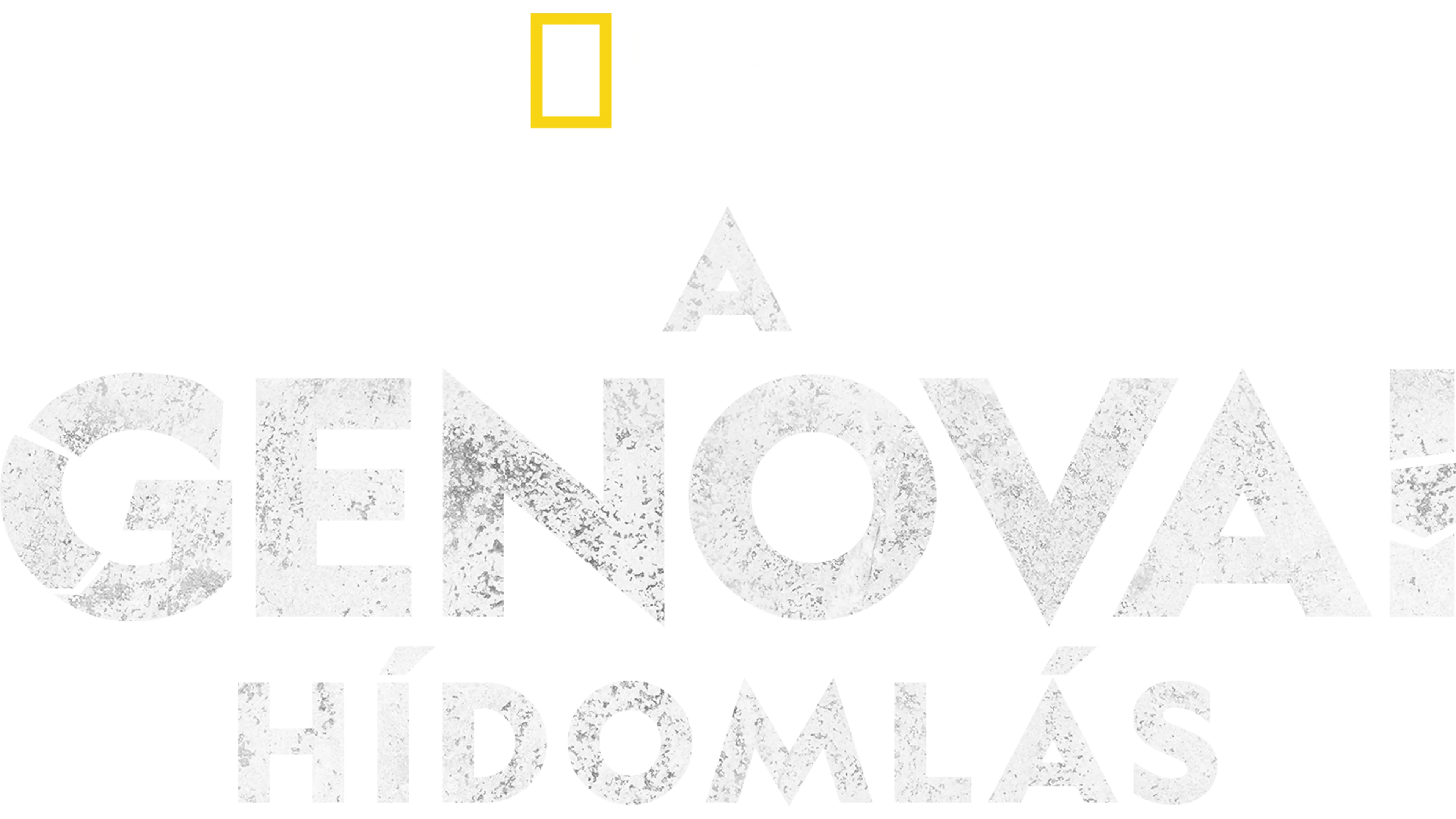 A genovai hídomlás