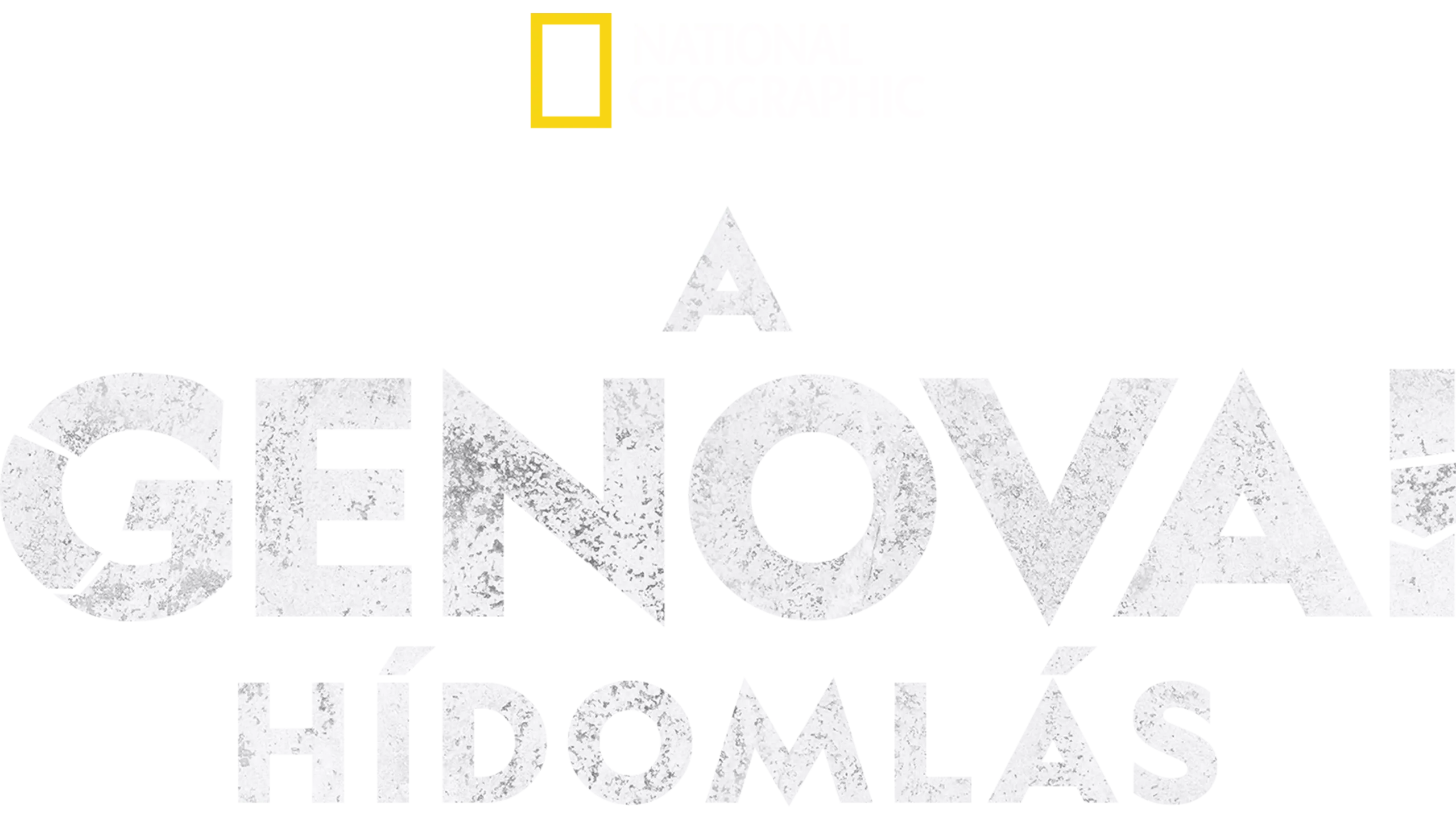A genovai hídomlás