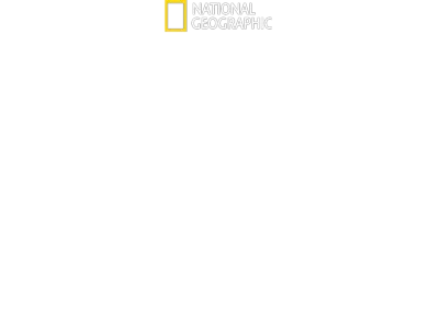 Hitlers kamp mot pressen