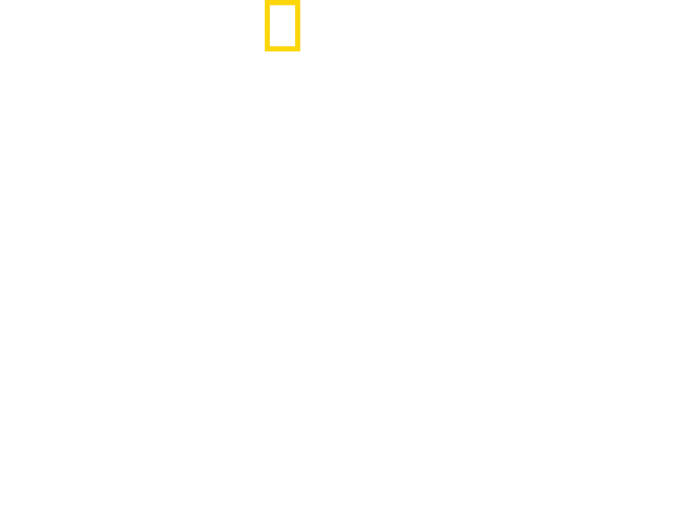 Hitlers kamp mot pressen