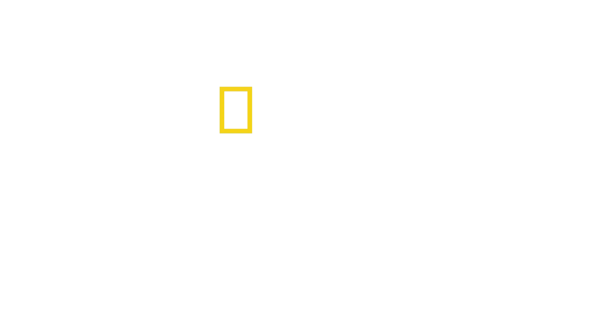 Cocinas de emergencia