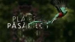 thumbnail - Planeta păsărilor