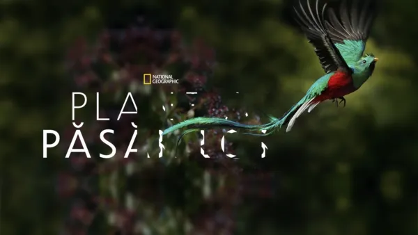 thumbnail - Planeta păsărilor