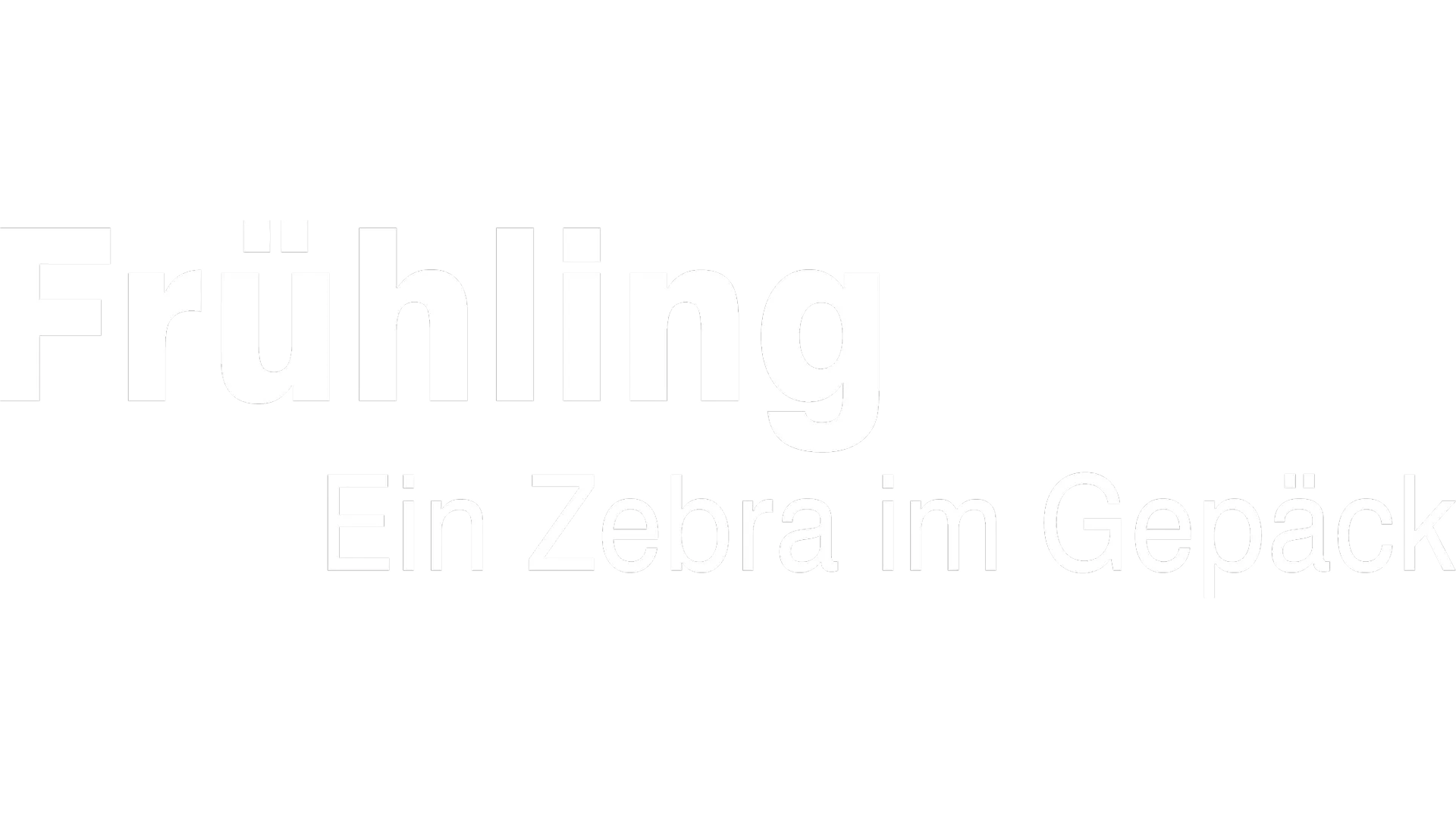 Frühling - Ein Zebra im Gepäck