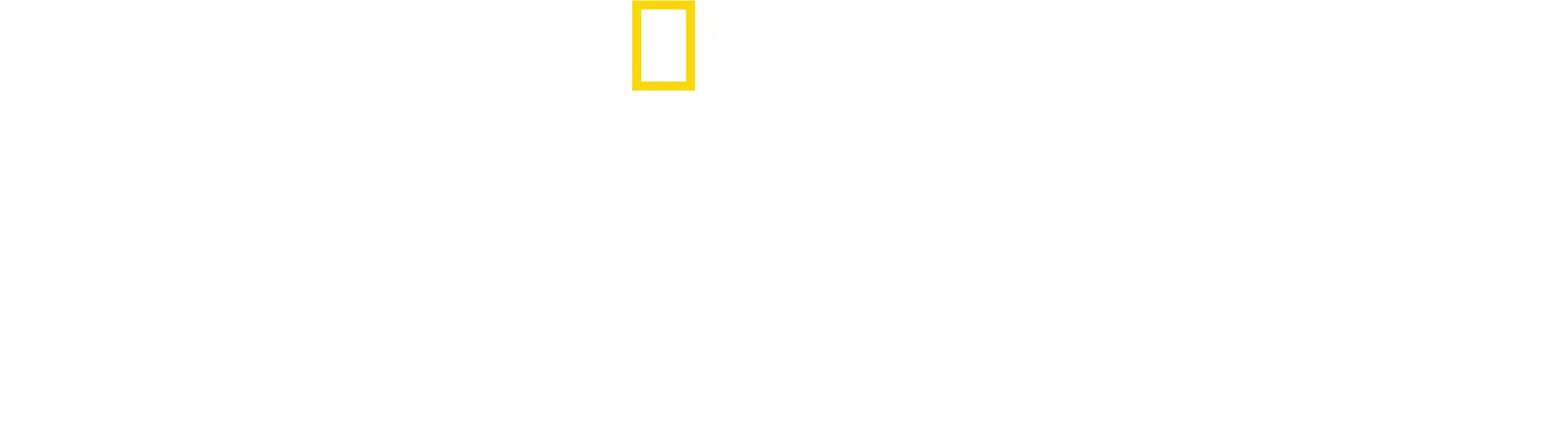 成長的軌跡
