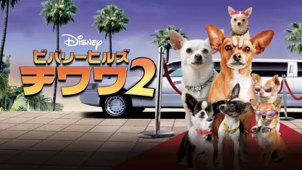 thumbnail - ビバリーヒルズ・チワワ2