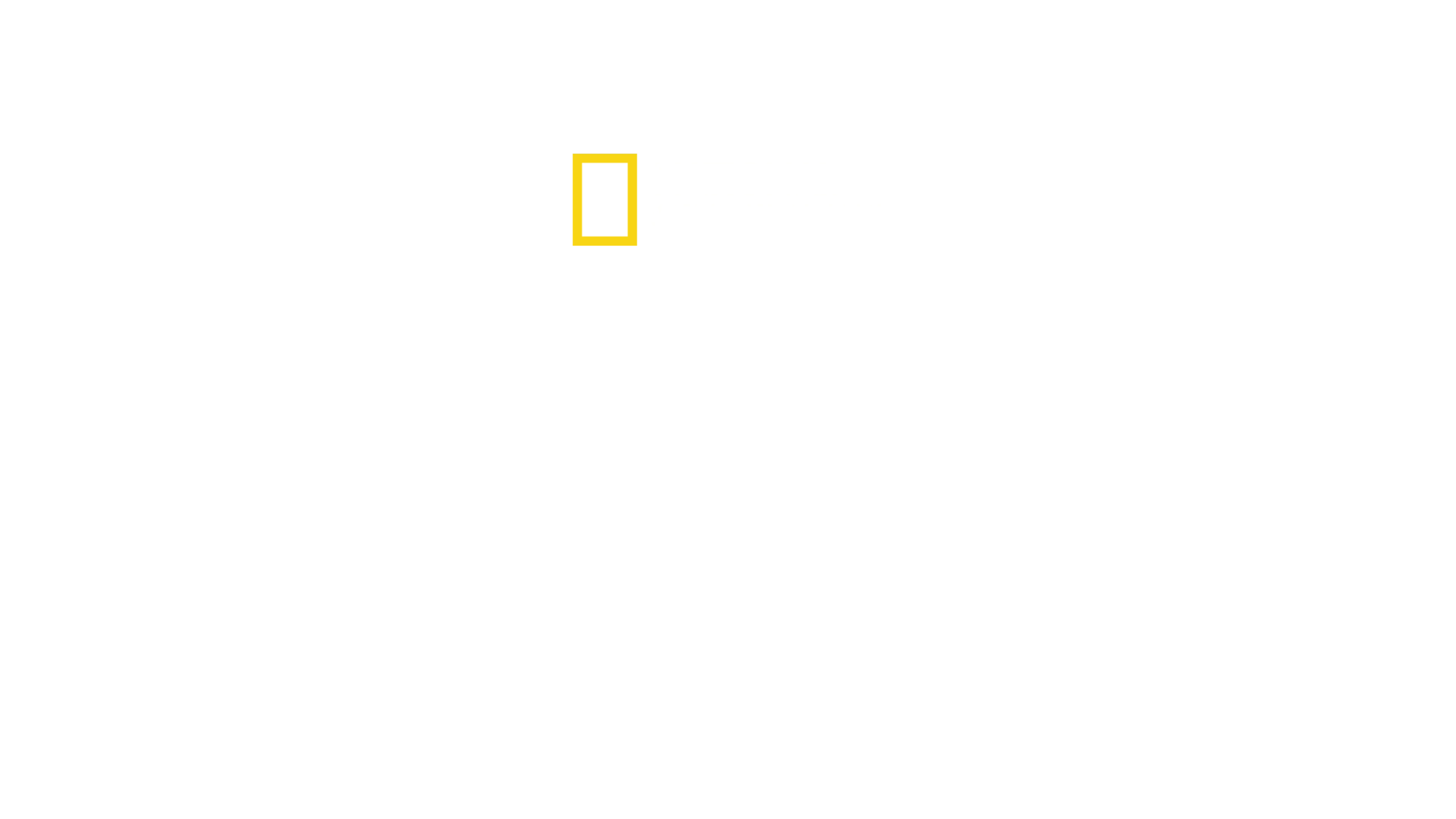 Secretele rechinului-taur