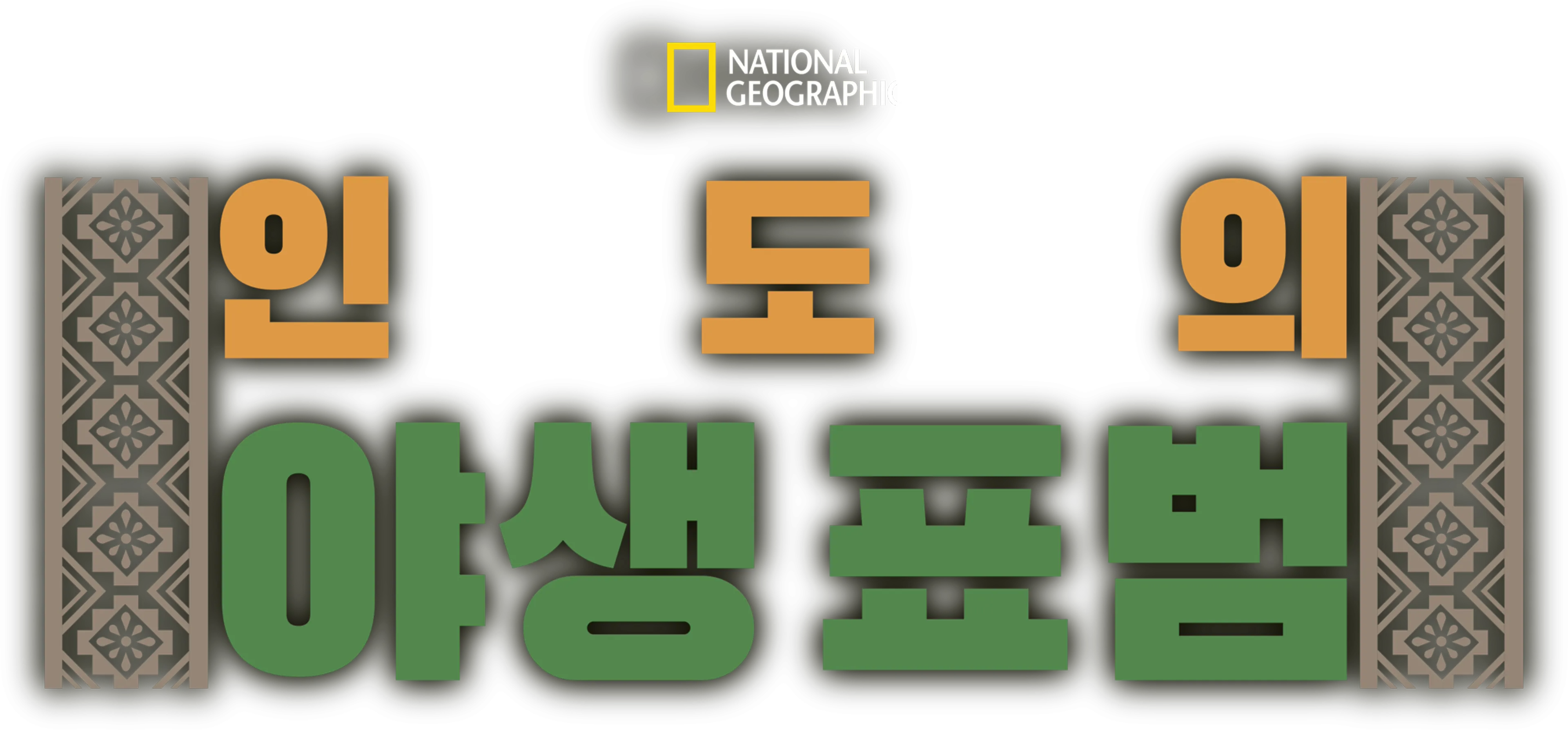 인도의 야생 표범