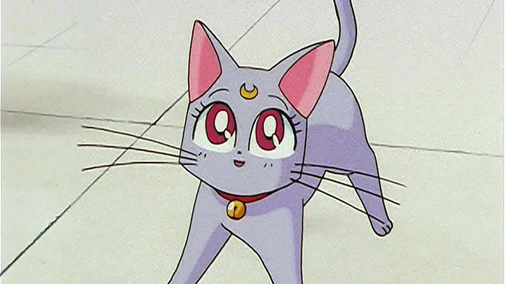 thumbnail - S4:E133 (Dub) Artemis is Cheating? Enter the Mysterious Kitten