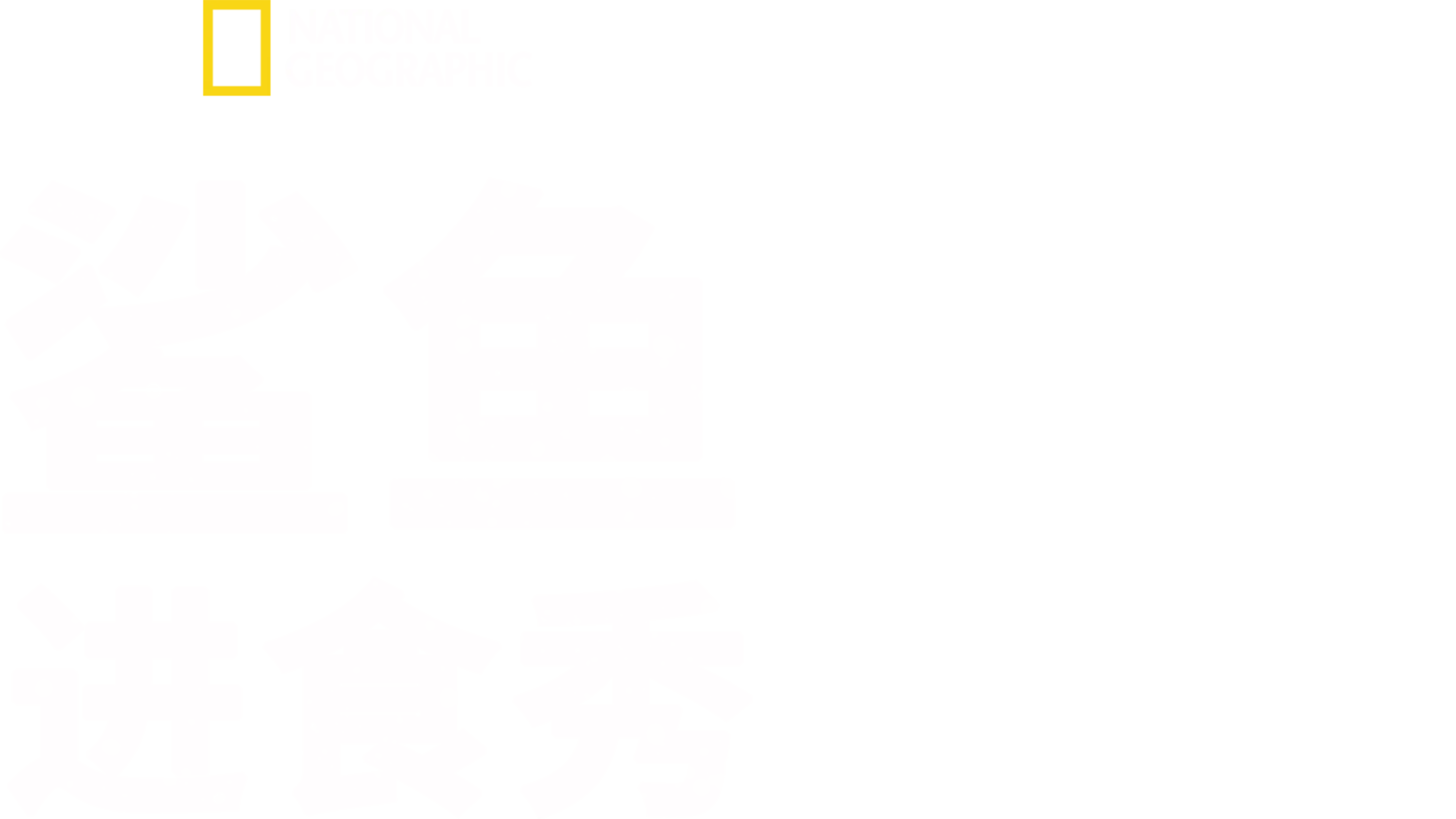 鲨鱼进食秀