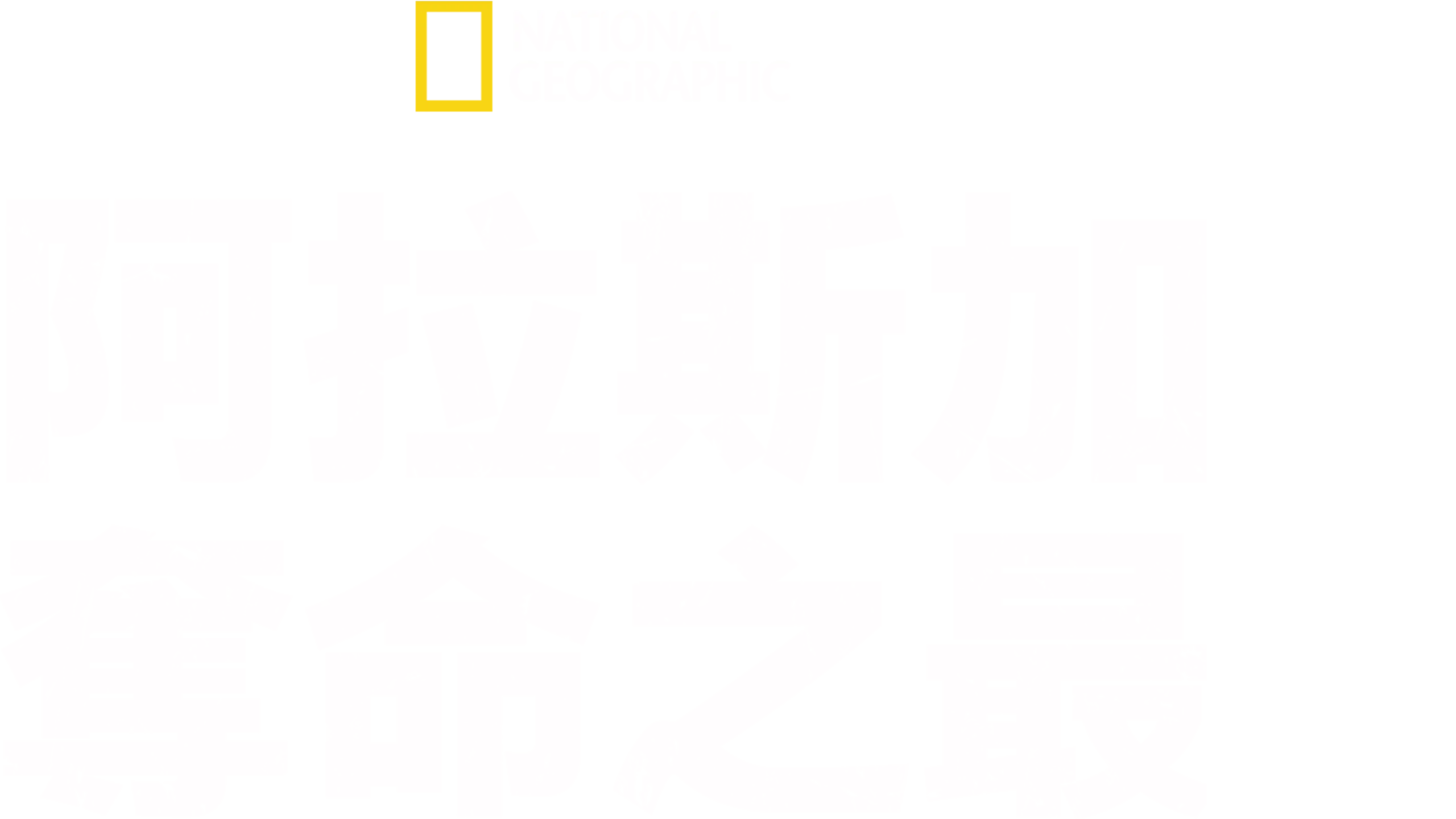 阿拉斯加奪命之最