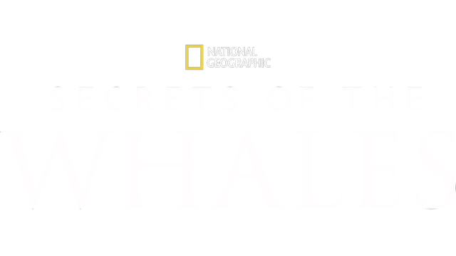 Secrets of the Whales