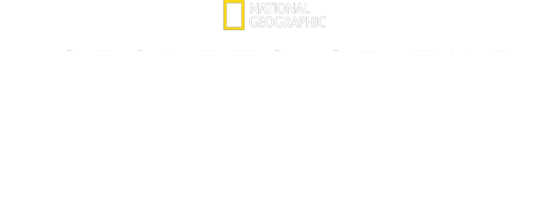Secrets of the Whales