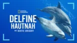 thumbnail - Delfine hautnah mit Bertie Gregory
