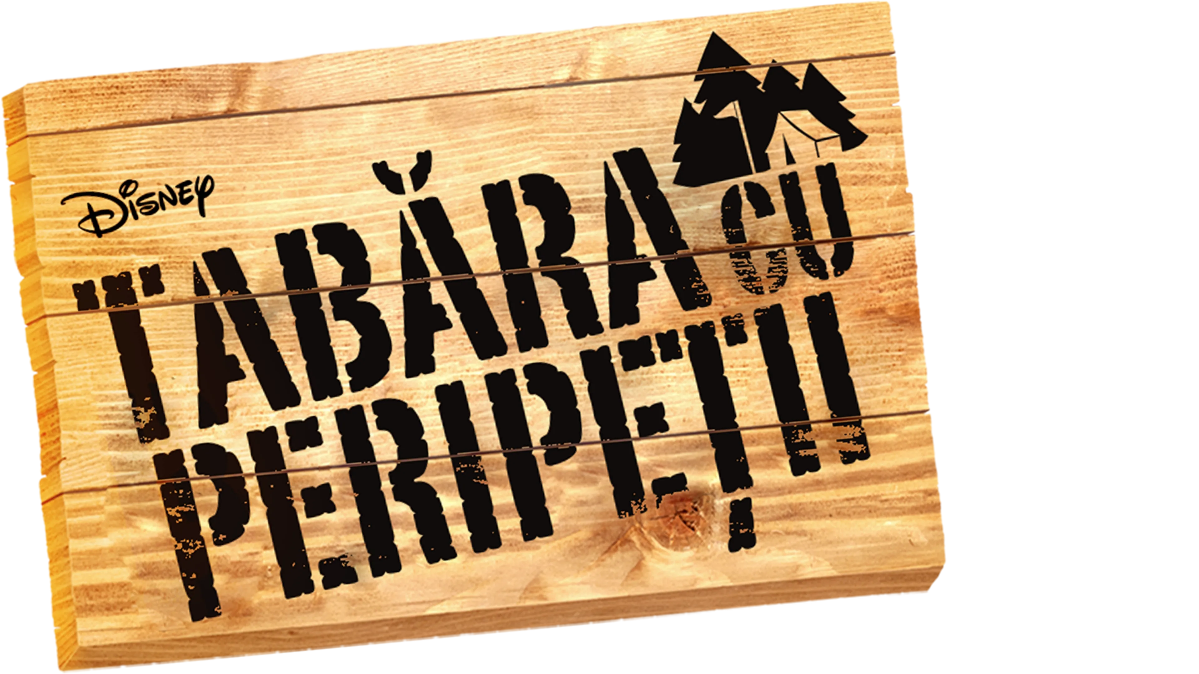 Tabăra cu peripeții