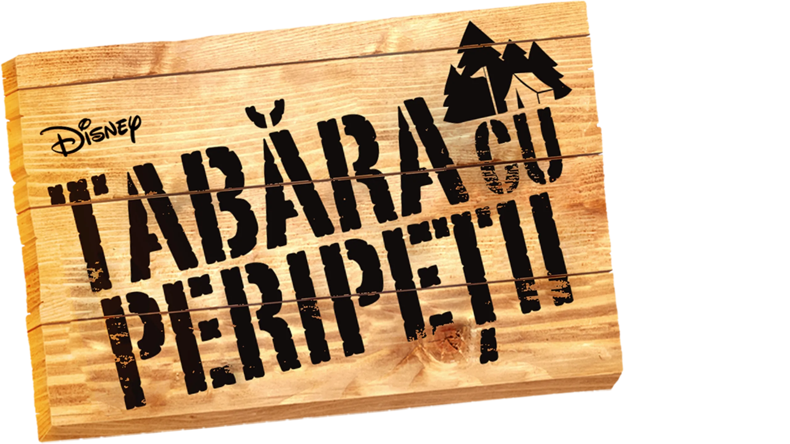 Tabăra cu peripeții