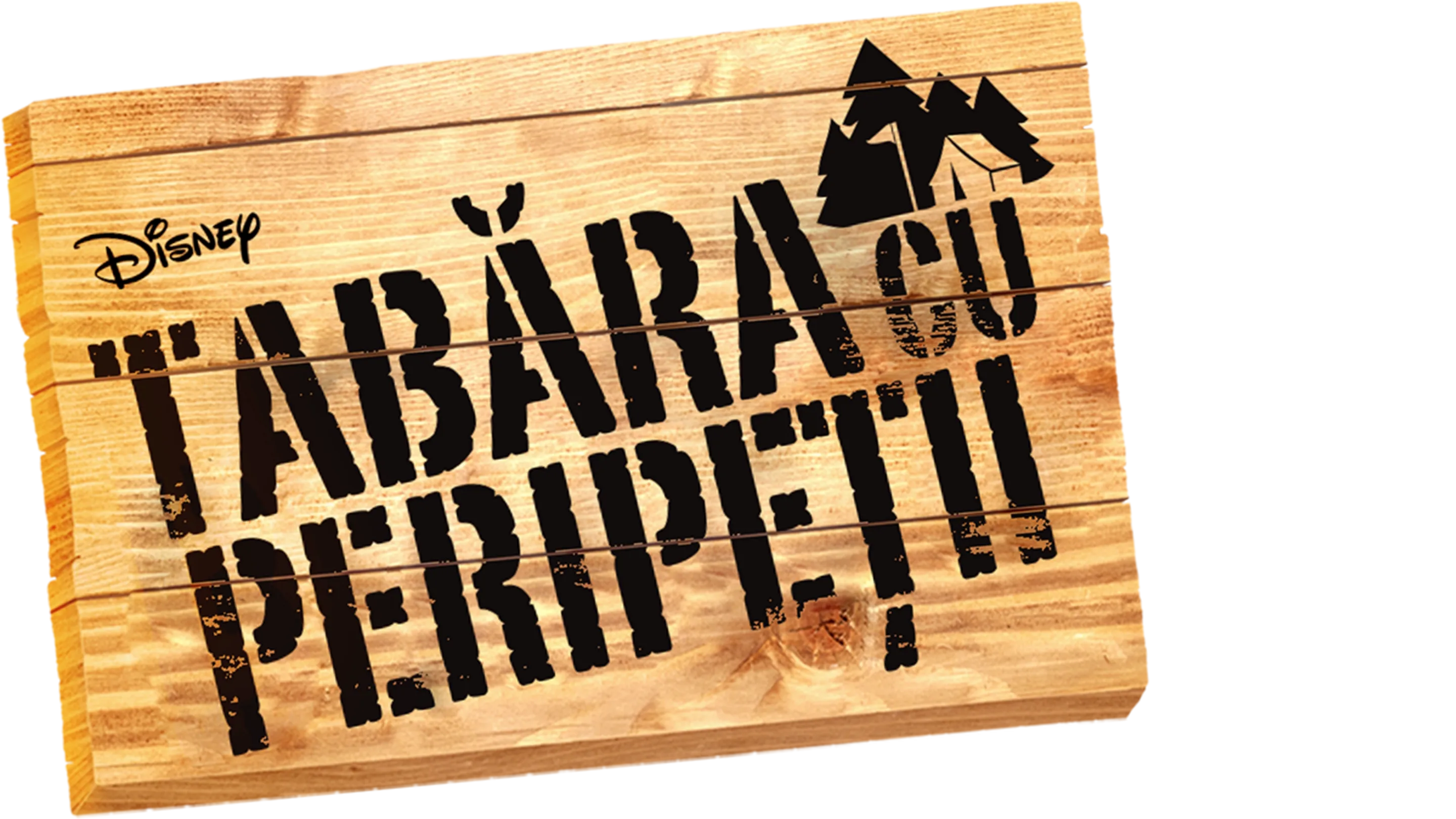 Tabăra cu peripeții