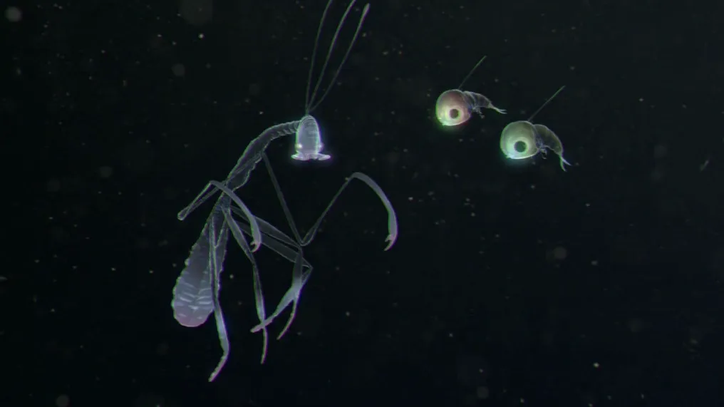 thumbnail - S1:E2 Metamorphosis