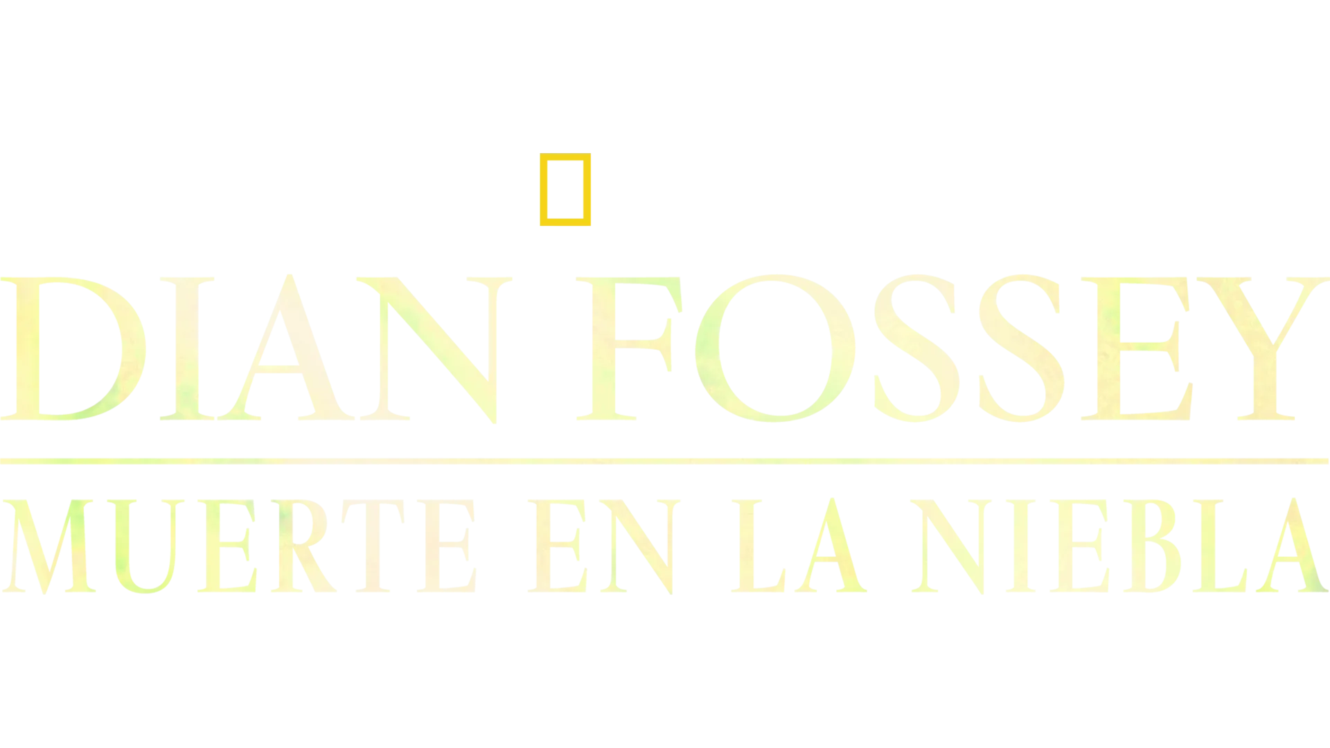 Dian Fossey, Muerte en la niebla