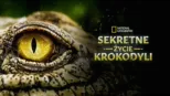 thumbnail - Sekretne życie krokodyli
